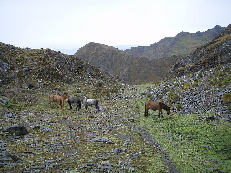 Illampu Trek (36).JPG